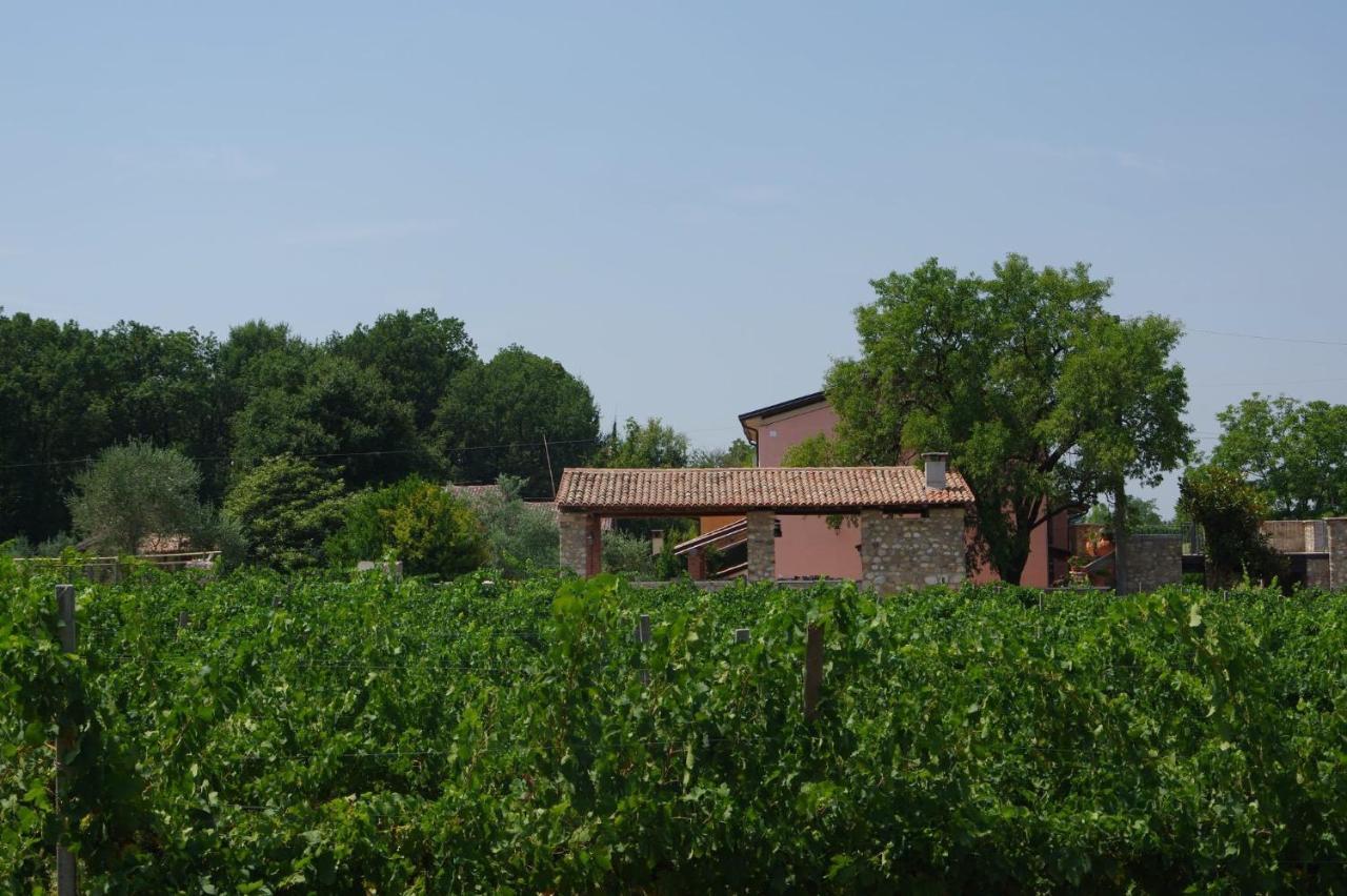 Agriturismo La Casa Del Mandorlo Villa Monzambano Exterior photo